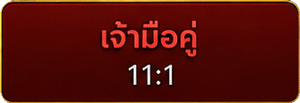 เจ้ามือคู่