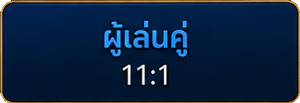 ผู้เล่นคู่